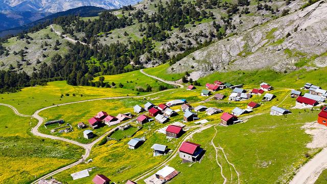 20 gün boyunca zirveyi yaşıyor: Yaylaya giden geri dönmek istemiyor