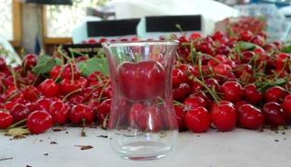 &Ccedil;ay bardağına sığmıyor: Kilosu 800 TL'ye kadar &ccedil;ıkıyor