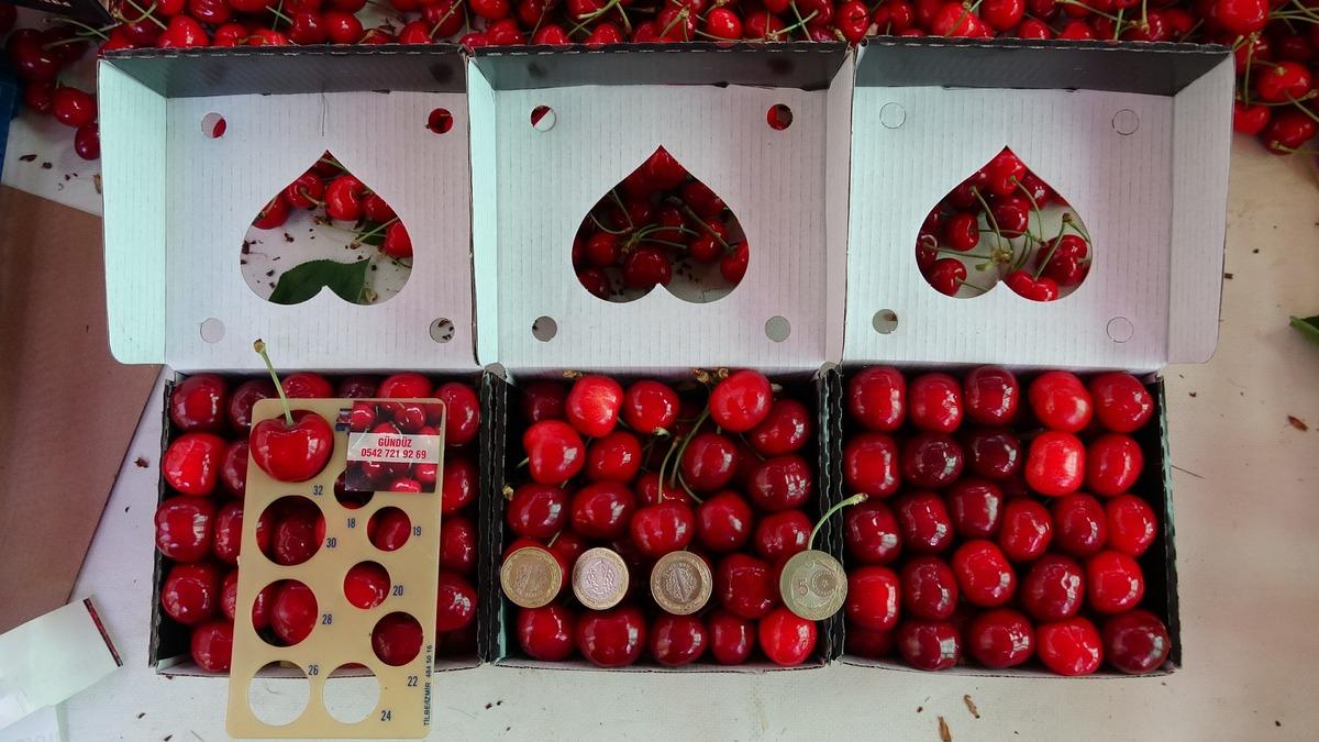 Çay bardağına sığmıyor: Kilosu 800 TL ye kadar çıkıyor 3
