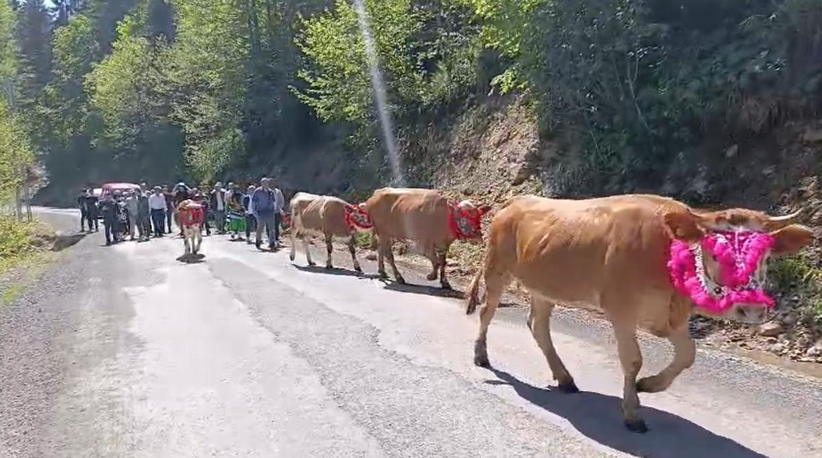 Karadeniz’de asırlık gelenek yeniden başladı! Göç başladı 5