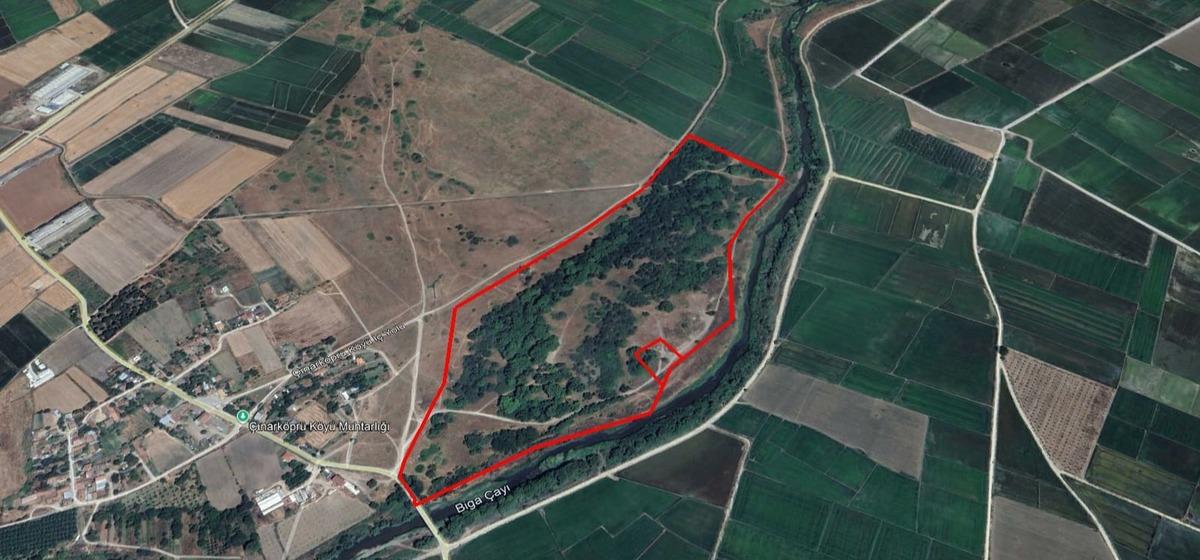 Bakan Ersoy paylaştı! 2 bin 300 yıllık miras "tarihi sit alanı" olarak tescillendi 2