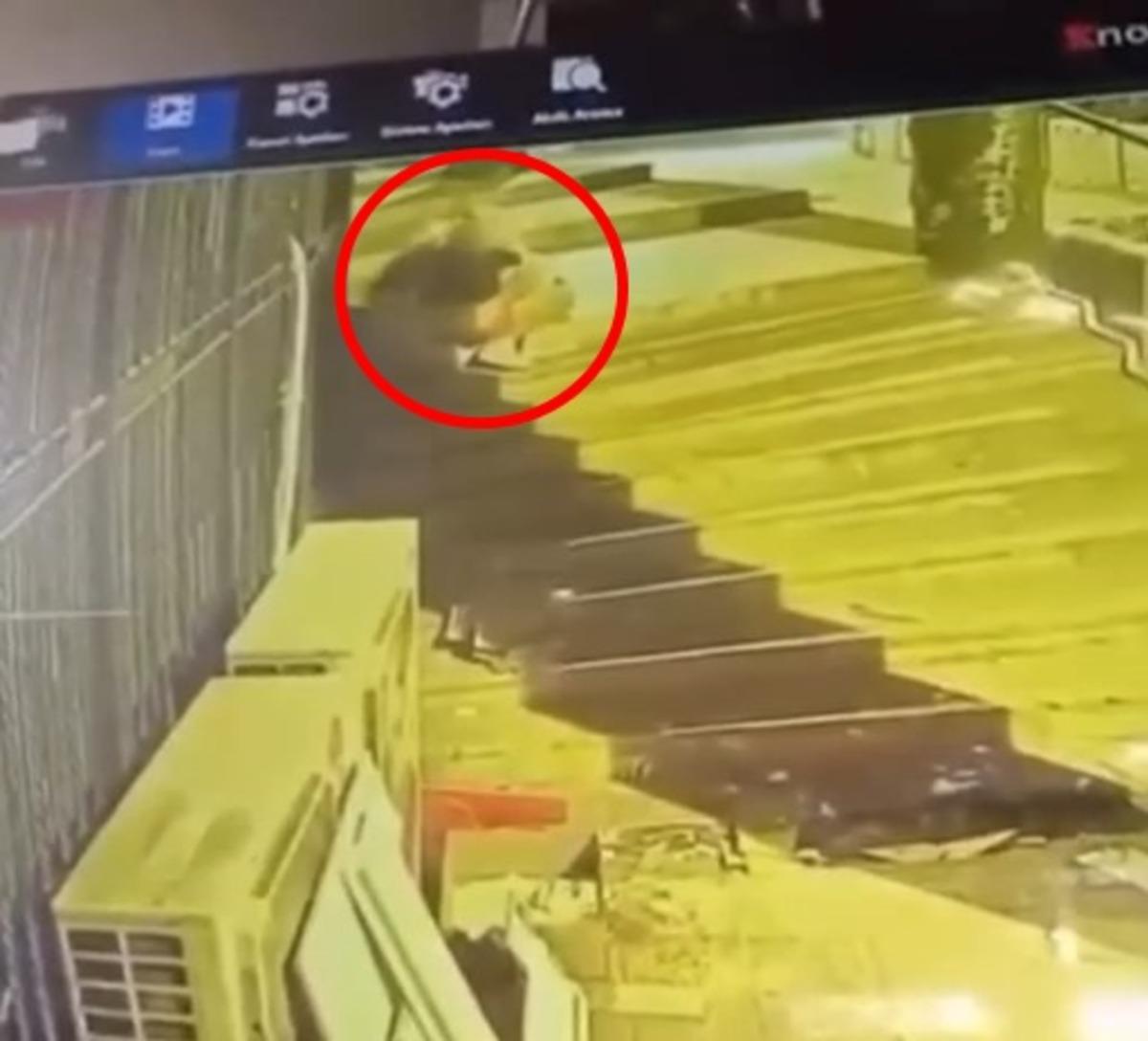 Mini etek giyip peruk taktı: Erkek hırsız kilim çaldı! 2