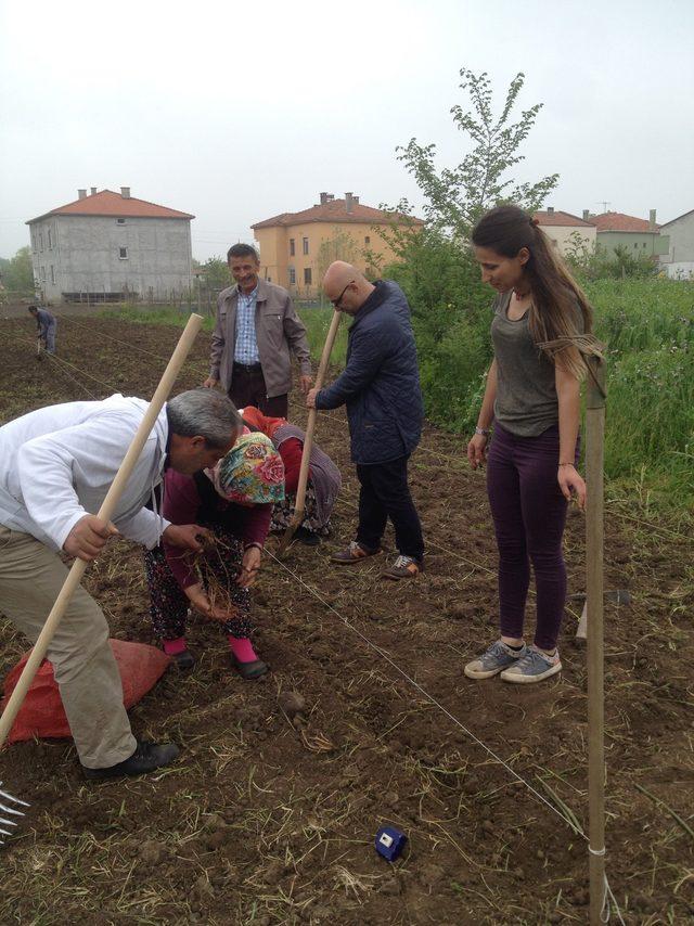 Karadeniz'de ilk kuşkonmaz üretimi Samsun'da