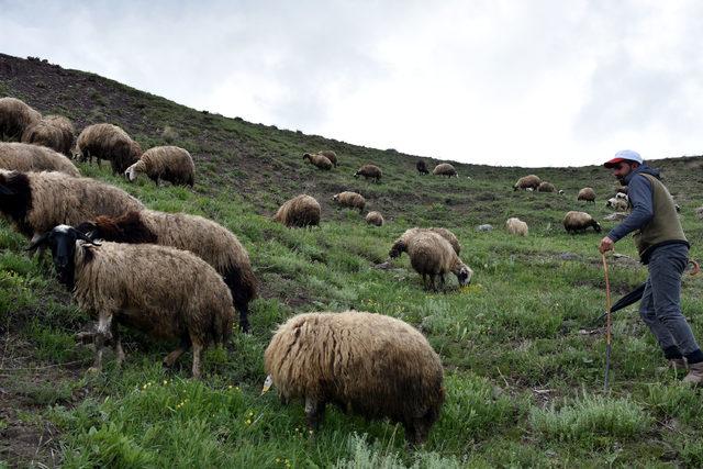 Terörden temizlenen yaylalar şenlendi