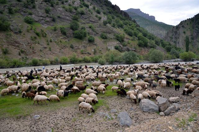 Terörden temizlenen yaylalar şenlendi