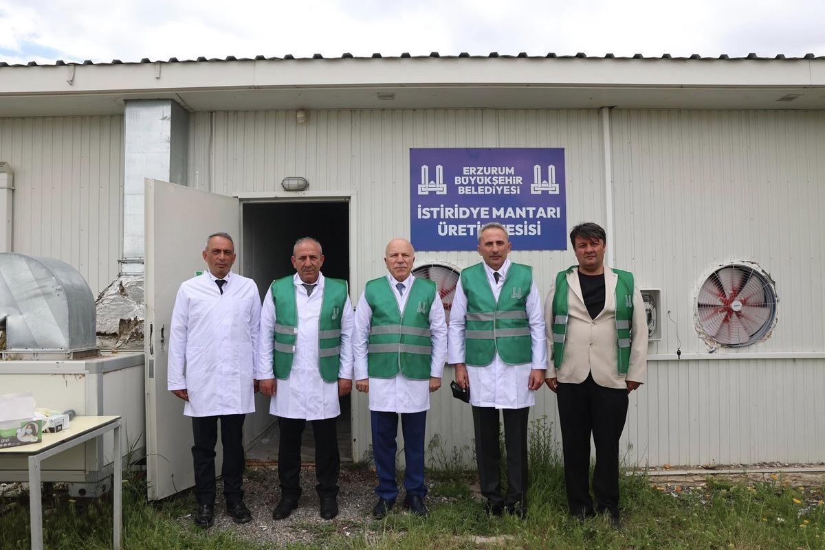 Büyükşehirden üretime destek: İstiridye mantarı dönemi 4