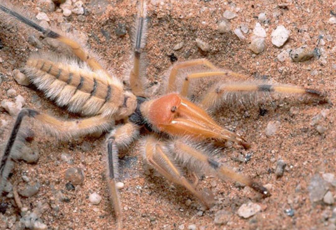 Korku filmi değil ger&ccedil;ek!