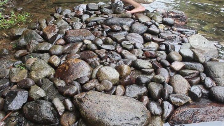 Suyun kenarına bunu yaptı  G4