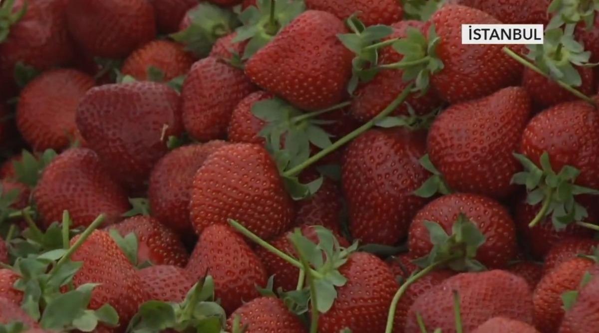 Makas dudak u&ccedil;uklattı: 30 TL den 260 TL ye 1
