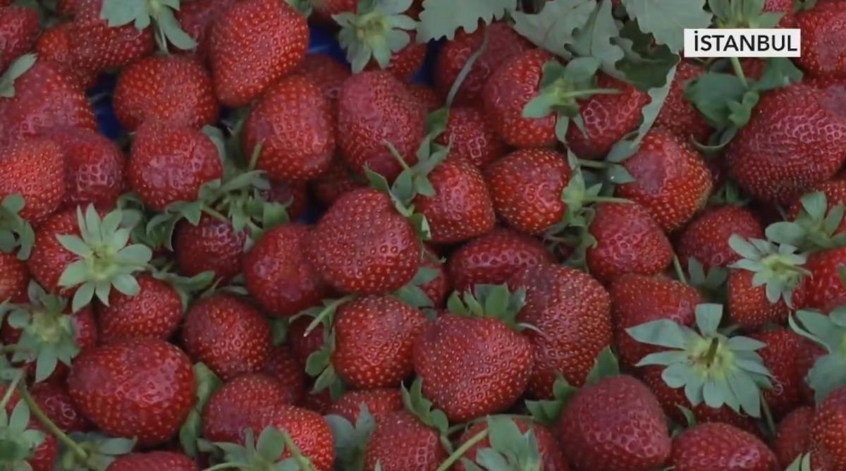 Makas dudak u&ccedil;uklattı: 30 TL den 260 TL ye 5