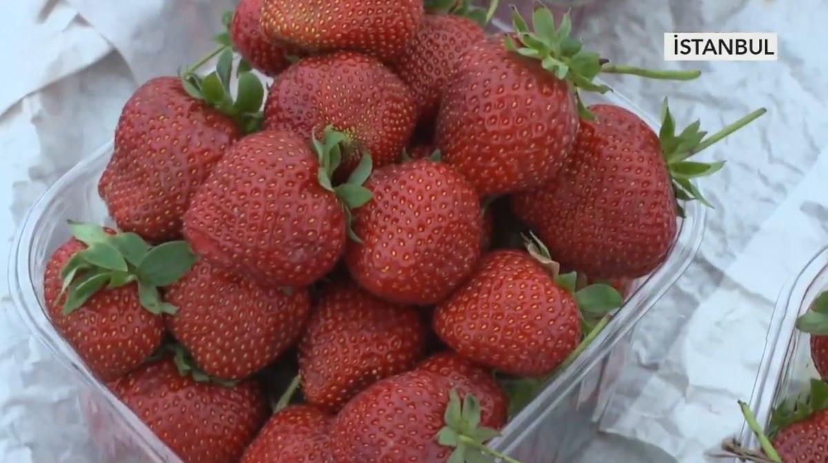 Makas dudak u&ccedil;uklattı: 30 TL den 260 TL ye 3