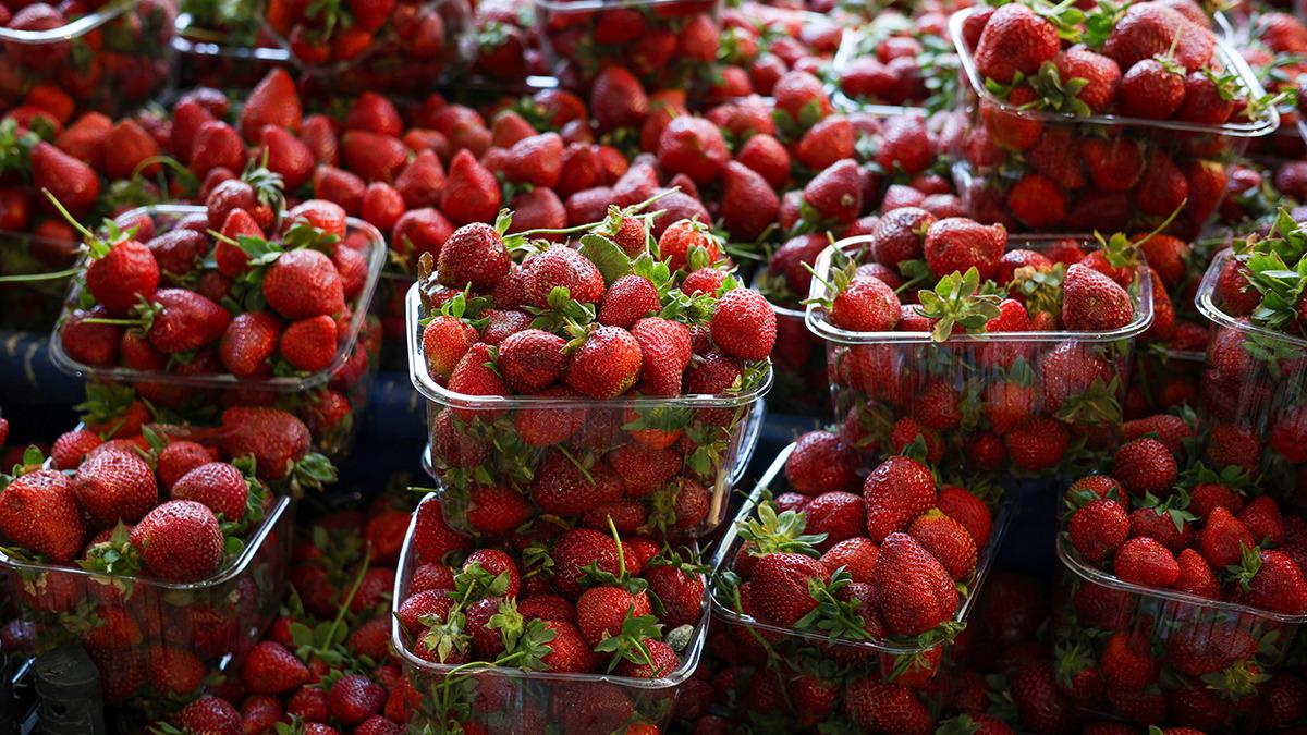 Makas dudak uçuklattı: 30 TL'den 260 TL'ye