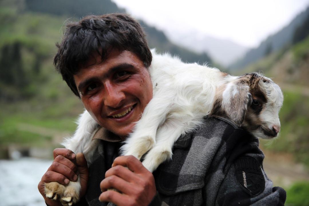 Bu fiyata &ccedil;oban bulamayınca yurt dışından getirtti