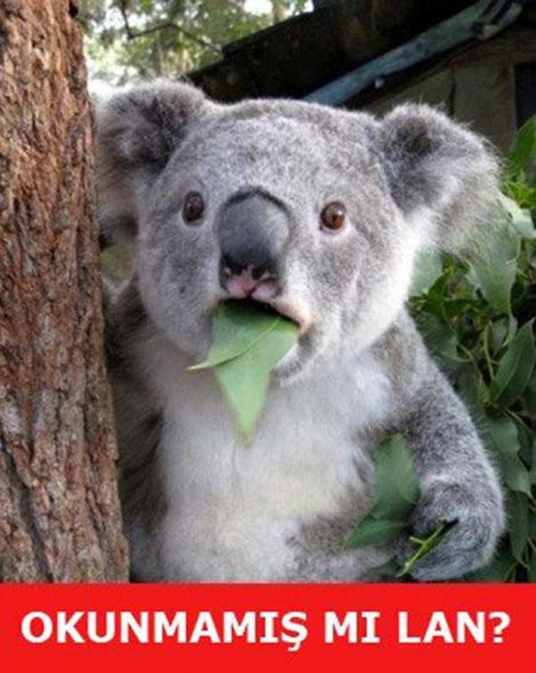 G&uuml;ld&uuml;ren Ramazan capsleri