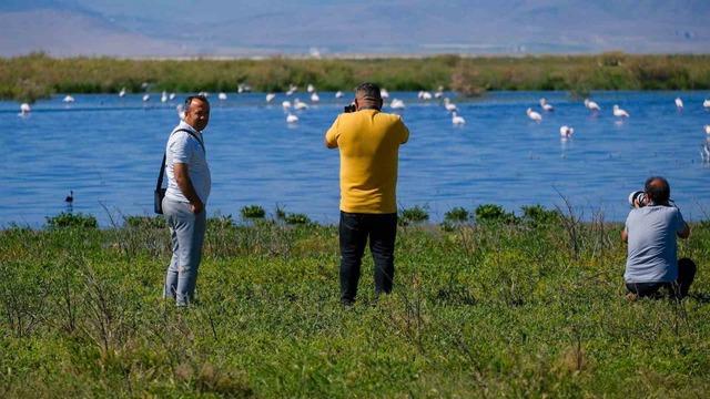 Kuş cenneti Akgöl eski günlerine döndü: "Allı turnalar" görsel şölen sunuyor 6