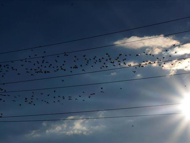 Spot piyasada elektrik fiyatları (9 Haziran 2026)