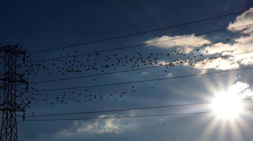 Spot piyasada elektrik fiyatları (9 Haziran 2026)