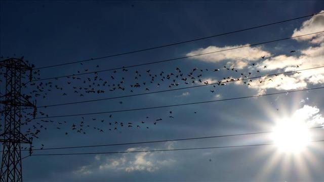 Spot piyasada elektrik fiyatları (9 Haziran 2026)