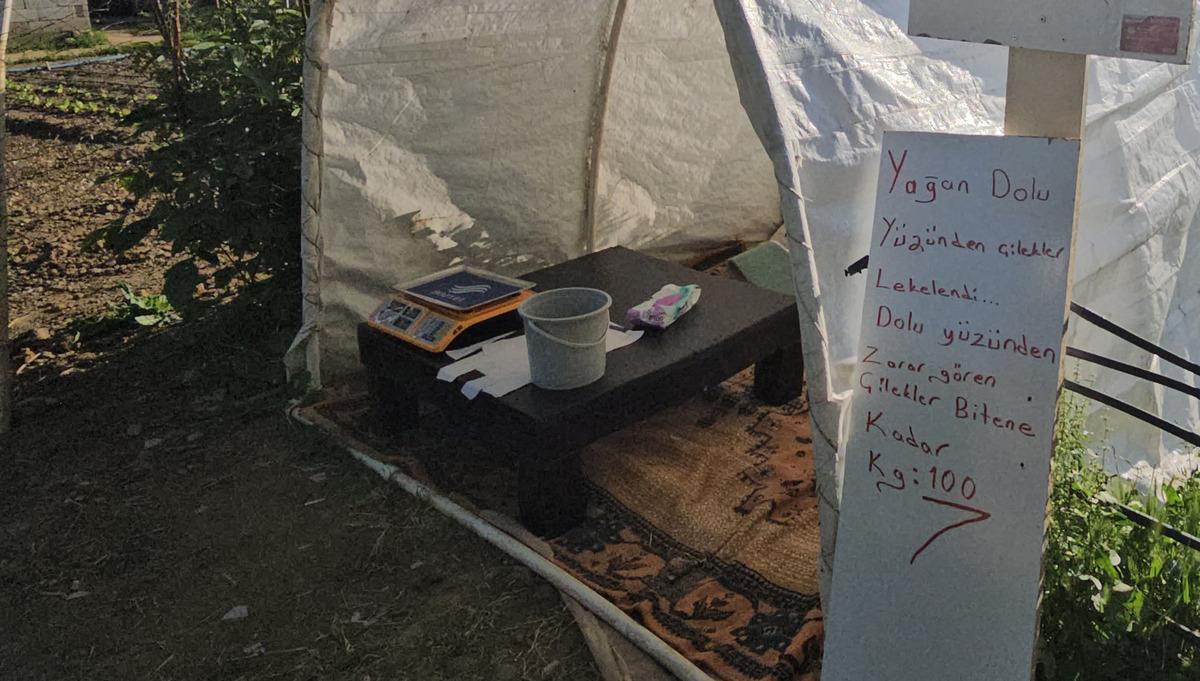  Bitene kadar 100 TL  Uygun fiyat i&ccedil;in o konsepte ge&ccedil;ti 2