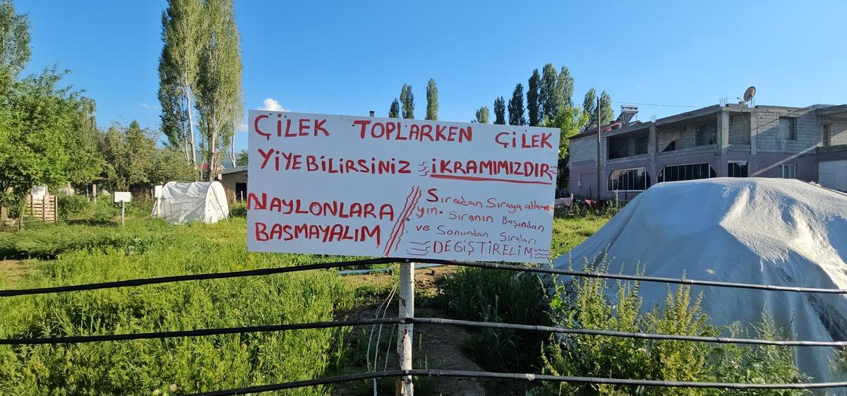  Bitene kadar 100 TL  Uygun fiyat i&ccedil;in o konsepte ge&ccedil;ti 3
