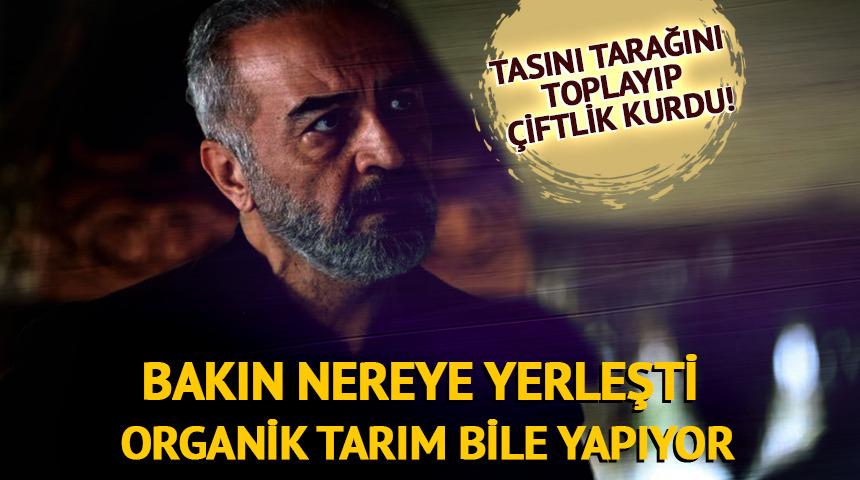 Tasını tarağını toplayıp &ccedil;iftlik kurdu! Organik tarım bile yapıyor 
