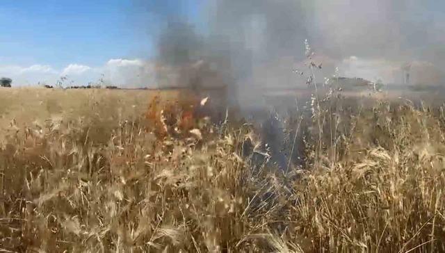 Şanlıurfa&rsquo;da onlarca d&ouml;n&uuml;ml&uuml;k arpa ekili tarla k&uuml;l oldu 1