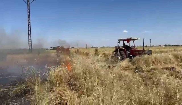 Şanlıurfa&rsquo;da onlarca d&ouml;n&uuml;ml&uuml;k arpa ekili tarla k&uuml;l oldu 2