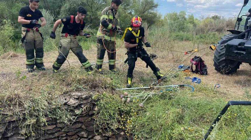 Su kuyusuna d&uuml;şen yaban domuzu, itfaiye ekiplerince kurtarıldı
