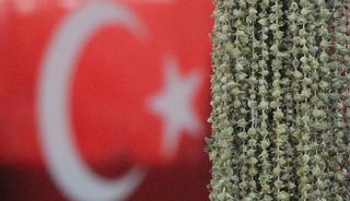 Amasyalılar ve Ugandalılar birbirine girdi!