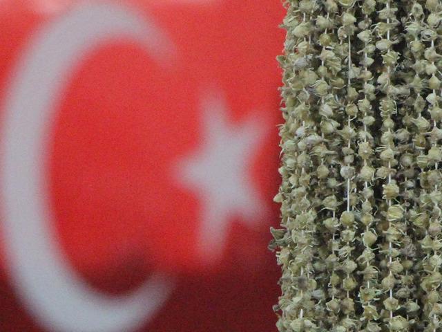 Amasyalılar ve Ugandalılar birbirine girdi!