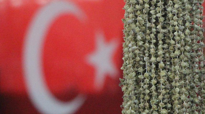 Amasyalılar ve Ugandalılar birbirine girdi! Tek bir sebebi var: Bamya