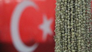 Amasyalılar ve Ugandalılar birbirine girdi! Tek bir sebebi var: Bamya
