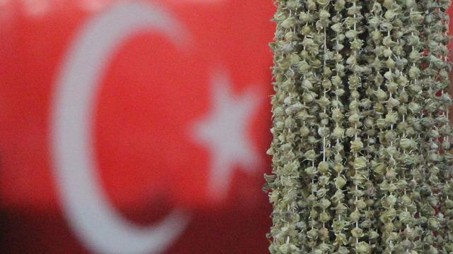 Amasyalılar ve Ugandalılar birbirine girdi! Tek bir sebebi var: Bamya
