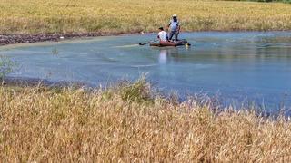 Bir yıl önce tarlaydı, şimdi tekneyle geziliyor: Balıklar bile yüzüyor