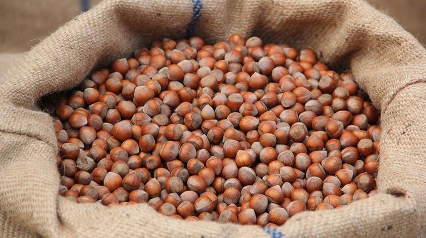 Ticaret borsalarında 9 ayda 314 bin tonu aşkın fındık işlem g&ouml;rd&uuml;