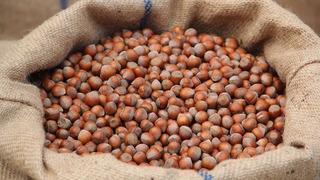 Ticaret borsalarında 9 ayda 314 bin tonu aşkın fındık işlem gördü