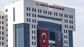 Gökçeada’ya “Şap Hastalığından Aşılı Ari Bölge’’ Statüsü