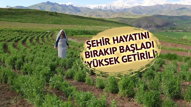 İstanbul'dan k&ouml;ye yerleşti, hobi olarak başladı: 2 bin TL'yi buluyor