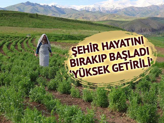 İstanbul'dan k&ouml;ye yerleşti, hobi olarak başladı: 2 bin TL'yi buluyor