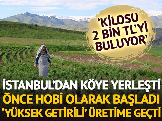 İstanbul'dan k&ouml;ye yerleşti, hobi olarak başladı: 2 bin TL'yi buluyor