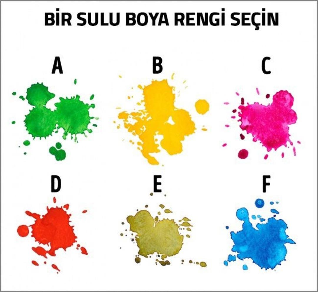  Hangi renk daha &ccedil;ok ilginizi &ccedil;ekti?