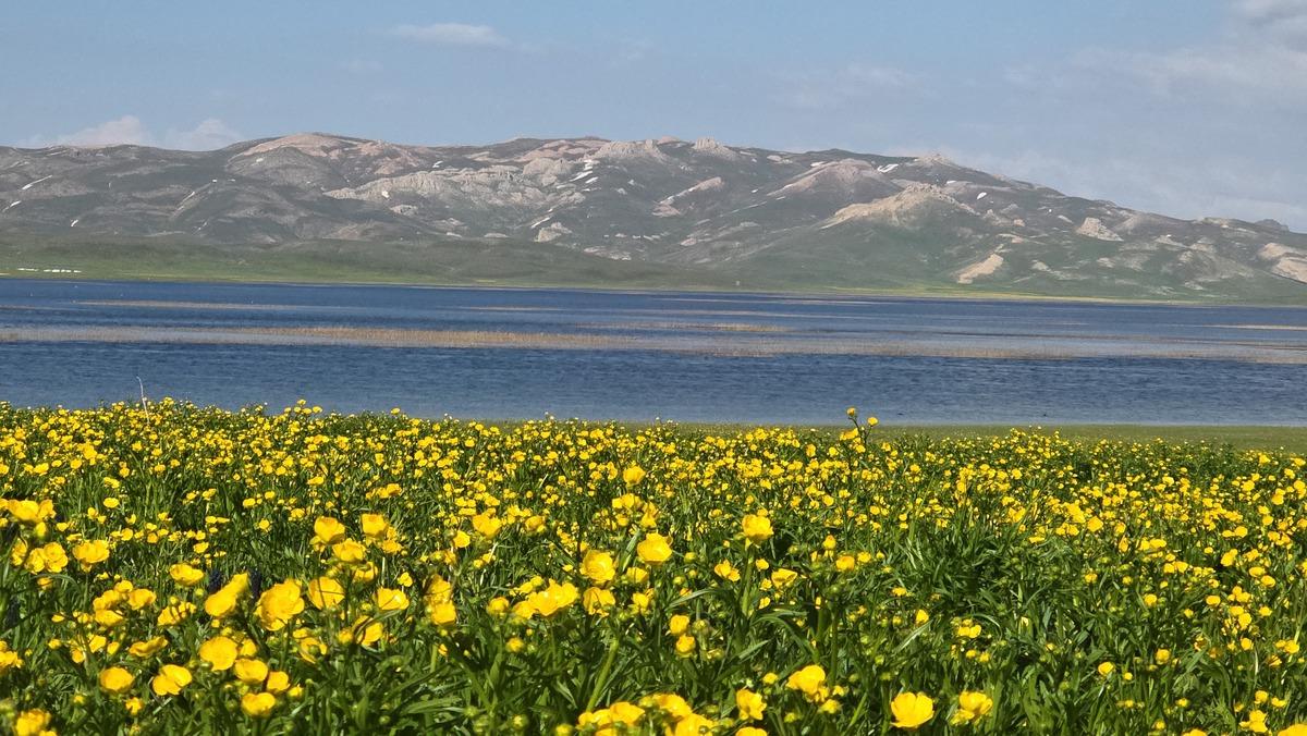 2 bin 800 yıllık sır ortaya çıktı: Van’da inanılmaz manzara 2