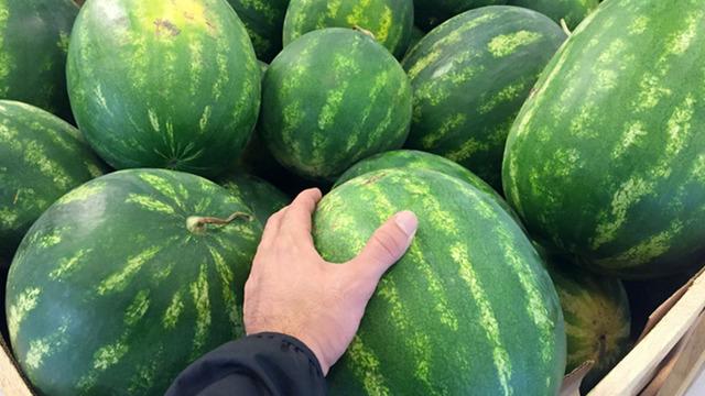 En sulu karpuzu 10 saniyede bulma yöntemi