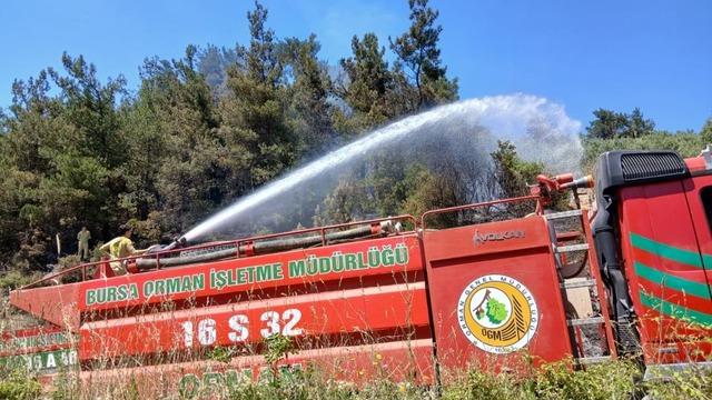 Bursa’da piknik alanı yakınındaki yangın korkuttu