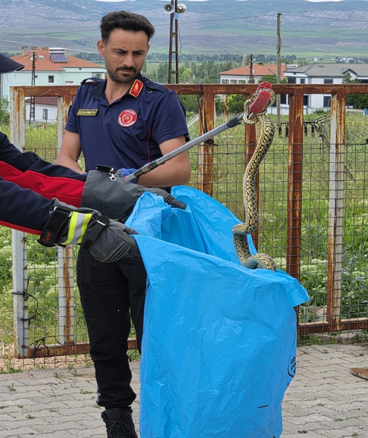 Bah&ccedil;eye giren 2 metrelik yılan, itfaiye tarafından yakalandı 3