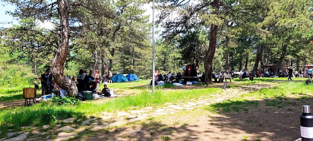 Çevre illerden ziyaretçi akınına uğruyor! Herkes çimlerinde yatmayı bekliyor 1