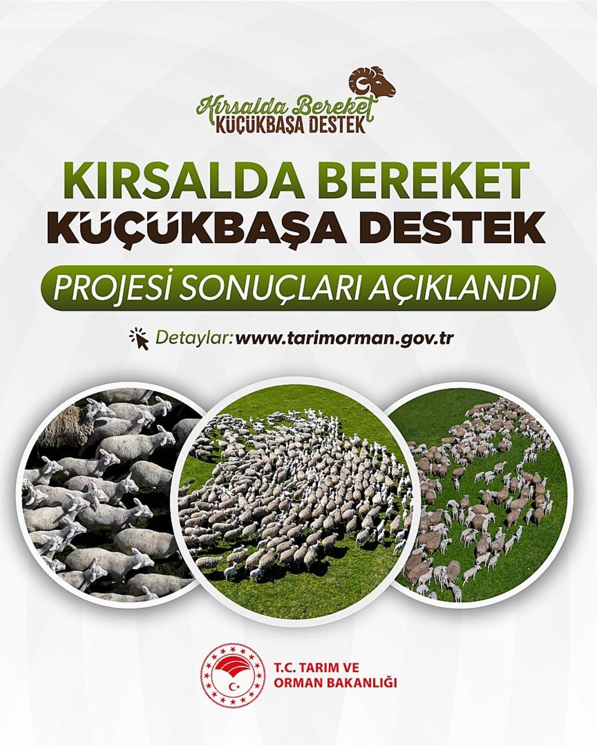Kırsalda Bereket K&uuml;&ccedil;&uuml;kbaşa Destek Projesi sonu&ccedil;ları a&ccedil;ıklandı 1