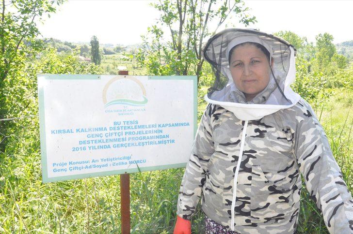 Kadın girişimci 'arı sütü' siparişlerine yetişemiyor G1