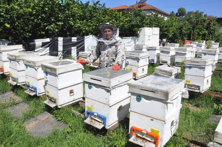 Kadın girişimci 'arı sütü' siparişlerine yetişemiyor G2