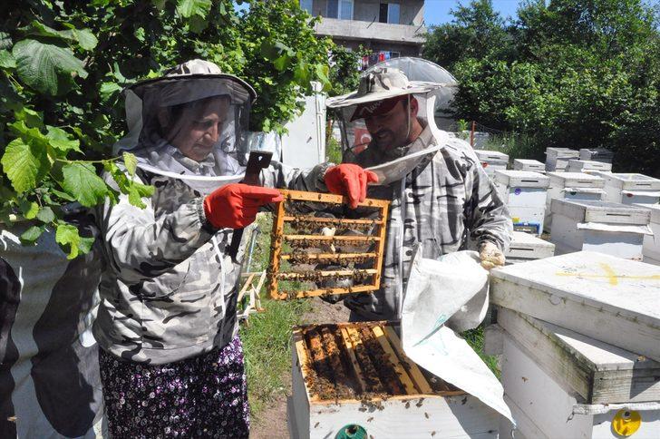 Kadın girişimci 'arı sütü' siparişlerine yetişemiyor G3